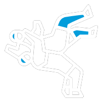 Jiu Jitsu and Mixed Martial Arts